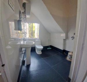 a bathroom with a sink and a toilet at Shree Niwas in Darjeeling