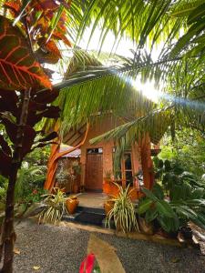een huis met een houten deur en een aantal planten bij Ama Eco Lodge in Sigiriya