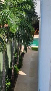 卡諾格布拉達的住宿－Pousada Solarium，旁边一排棕榈树