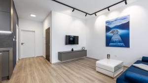 Televízia a/alebo spoločenská miestnosť v ubytovaní AV apart hotel