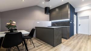 Kuchyňa alebo kuchynka v ubytovaní AV apart hotel