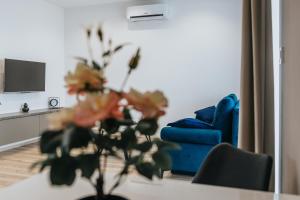 Televízia a/alebo spoločenská miestnosť v ubytovaní AV apart hotel