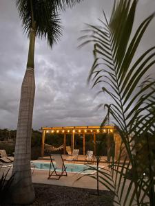 una palmera junto a una piscina con luces en Swell Todos Santos, en Todos Santos
