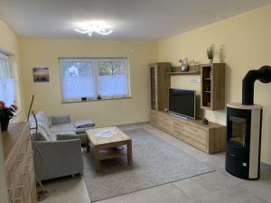 ein Wohnzimmer mit einem Sofa und einem TV in der Unterkunft Villa Evi Modern retreat in Lubmin