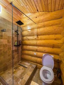 ein Bad mit einem WC in einer Holzwand in der Unterkunft The universe of Wood ! BranWood in Sohodol