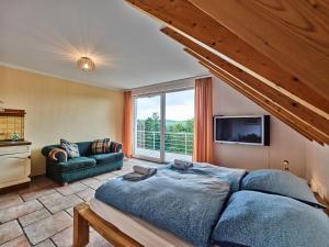 Μια τηλεόραση ή/και κέντρο ψυχαγωγίας στο Tasteful holiday home with private pool