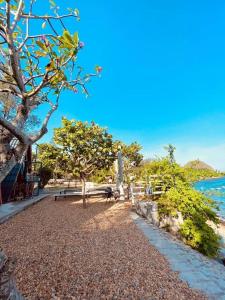 une plage avec un arbre, un banc et l'eau dans l'établissement Kaktus home & kafe, à Tuy Hoa