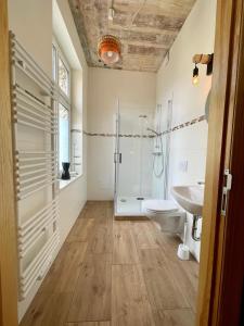 ein Bad mit einem WC, einer Dusche und einem Waschbecken in der Unterkunft norddeutscher Hof - Kutscherstation in Usedom Town