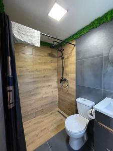 a bathroom with a toilet and a shower at KUBIQ TRANSALPINA in Petreşti +93 photos