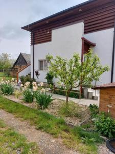 a garden in front of a house at VILA ONIX in Săcueni