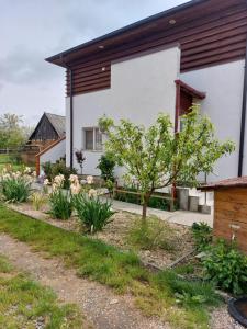 Zahrada ubytování VILA ONIX