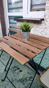 a wooden picnic table with a potted plant on it at Sunny Apartment Ilawa in Iława +12 photos