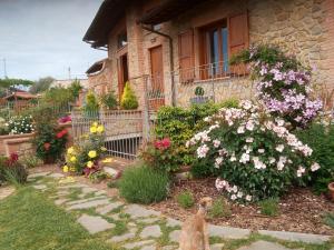 a cat sitting in front of a house with flowers at Olivo Bonsai in Passignano sul Trasimeno
