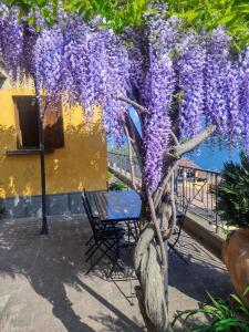 een blauweregen met een tafel en stoelen eronder bij Villetta la Colombaia in Carzano