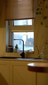 Kuchyň nebo kuchyňský kout v ubytování Ema Apartment Tirana