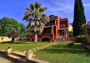 Κήπος έξω από το Little Red in Green