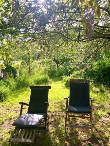 two chairs sitting in the grass under a tree at Kunst Ferienwohnung 200 Meter zum Elbesandstrand in Neu Darchau +20 photos