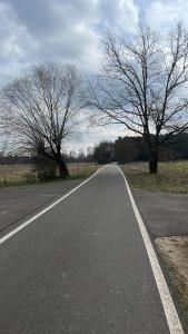 un camino vacío en medio de un campo en Ferienwohnung ‘Storchennest’, en Tauche