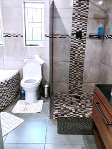 a bathroom with a toilet and a shower at Reutlwane Gardens house in Secunda