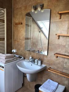 uma casa de banho com um lavatório e um espelho em Argeselu Garden Villa - entire floor apartment, exclusive garden access em Mărăcineni