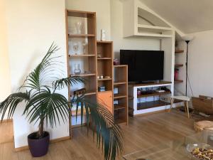 a living room with a tv and a potted plant at Argeselu Garden Villa-entire floor apartment, exclusive garden access in Mărăcineni