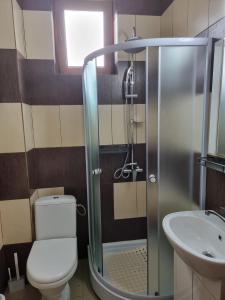 a bathroom with a shower and a toilet and a sink at Studio Aurora Blue in Eforie Sud +9 photos