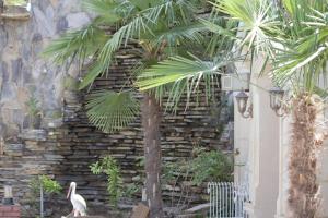 a palm tree in front of a stone wall at Museum Guest House-Muzey Ailəvi Qonaq Evi in Sheki