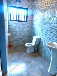 阿魯沙的住宿－Safari Park House，一间带卫生间和水槽的浴室