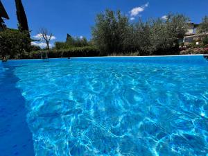 a pool of blue water with trees in the background at CorteViva Boutique Cottage in SantʼEgidio