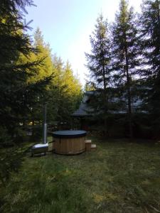 a hot tub in the middle of a yard with trees at domek w zaczarowanym lesie in Istebna