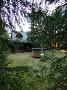a house with a hot tub in the yard at domek w zaczarowanym lesie in Istebna