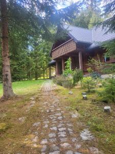 a path leading to a log cabin in the woods at domek w zaczarowanym lesie in Istebna