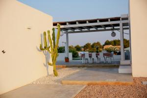 un cactus nel cortile di una casa di Can Javi de Palma - Amazing villa with swimming pool a La Mola