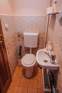 małą łazienkę z toaletą i umywalką w obiekcie Panorama Vegapansion w mieście Szendehely