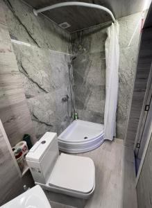 La salle de bains est pourvue d'une douche et de toilettes blanches. dans l'établissement Central rooms, à Chişinău