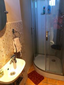 W łazience znajduje się prysznic i umywalka. w obiekcie Panorama Vegapansion w mieście Szendehely