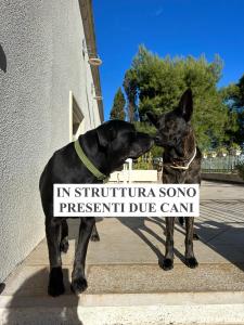 a dog standing next to another dog with a sign on its face at La Dimora di Ulisse in Santa Cesarea Terme
