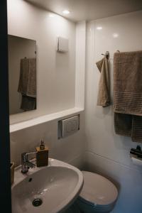 bagno con lavandino, servizi igienici e specchio di Jurta a Duna-parton a Zebegény