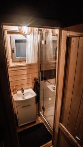 uma pequena casa de banho com um lavatório e um chuveiro em Mi Casa En Paczyno em Lubawka