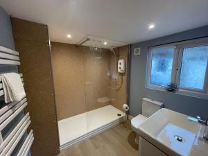 a bathroom with a shower and a toilet and a sink at Seasteps Padstow in Padstow
