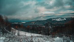 a snow covered hill with trees and a mountain at Mi Casa En Paczyno in Lubawka
