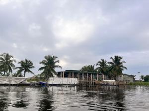 une maison sur les rives d'une rivière avec des palmiers dans l'établissement Hotel Germain - Ganvié Holiday Resort, à Ganvié