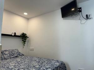 een slaapkamer met een bed en een tv aan de muur bij Checkmate in Tolox