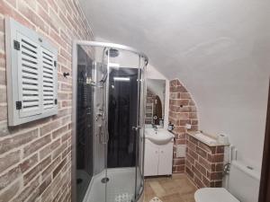 ein Badezimmer mit Dusche und Ziegelwand in der Unterkunft ELEMENTS HAUS in Sibiu + 28 Fotos