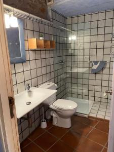 La salle de bains est pourvue de toilettes, d'un lavabo et d'une douche. dans l'établissement Can Bruguera de Fonteta, à Fonteta