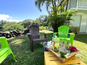 Mahina的住宿－TE REKA LODGE vue mer，两张绿色椅子和一张桌子,上面有饮料