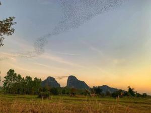 a flock of birds flying in the sky over a field at Baan Hug Na in Ban Khao Chakan