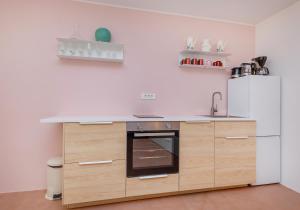 Küche/Küchenzeile in der Unterkunft Apartment Potkova