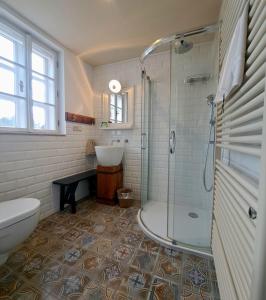 bagno con doccia e lavandino di Matějovec38 a Český Rudolec