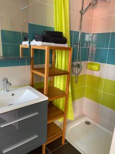 uma casa de banho com um lavatório e um chuveiro em Le Studio de Vasconia em Muret